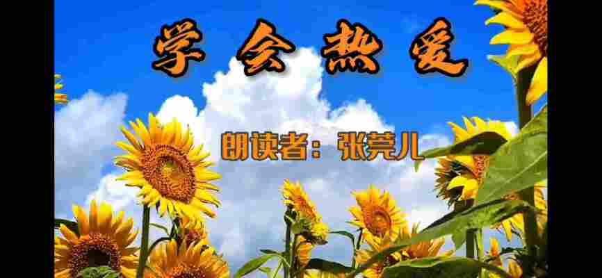 张莞儿