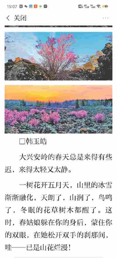 张歆苒