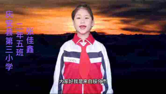 张佳鑫