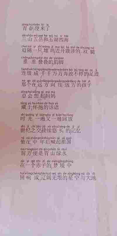 马睿彤
