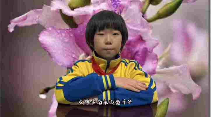 李佳芮