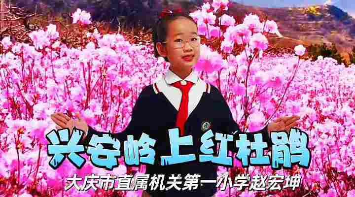 赵宏坤