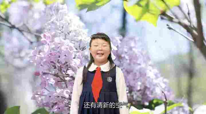 张宁芮