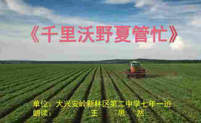 王思然
