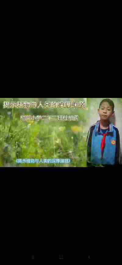杜柏函