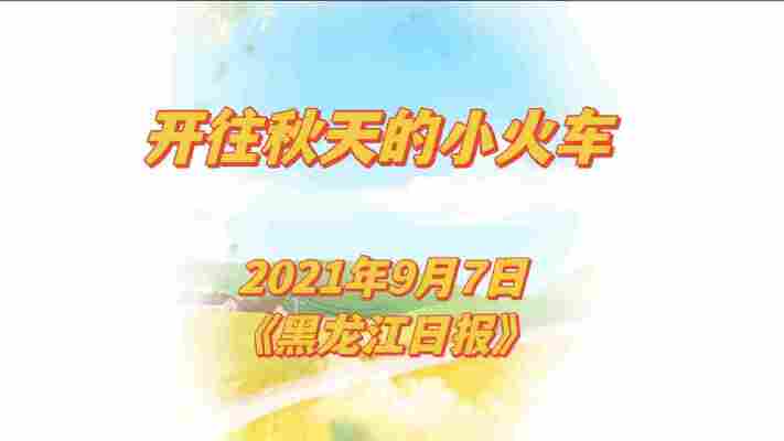 曹书瑶