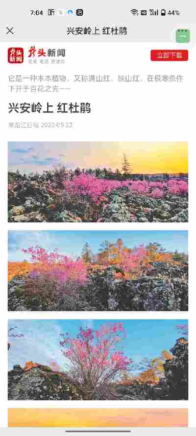 于子涵