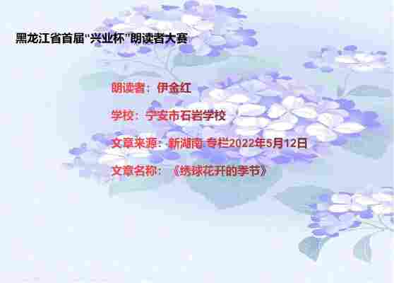 伊金红