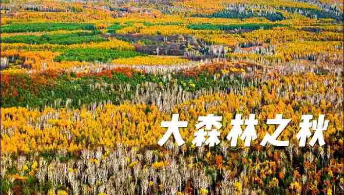 孙续源