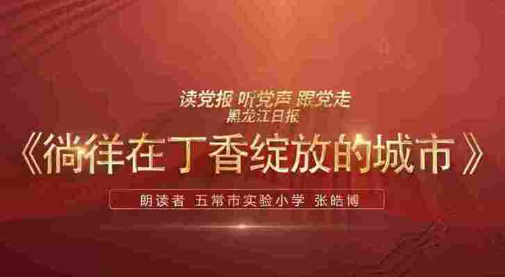 张皓博