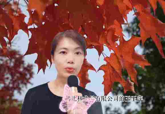 王玉萍