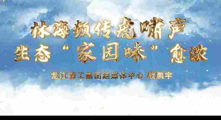 战鹏宇