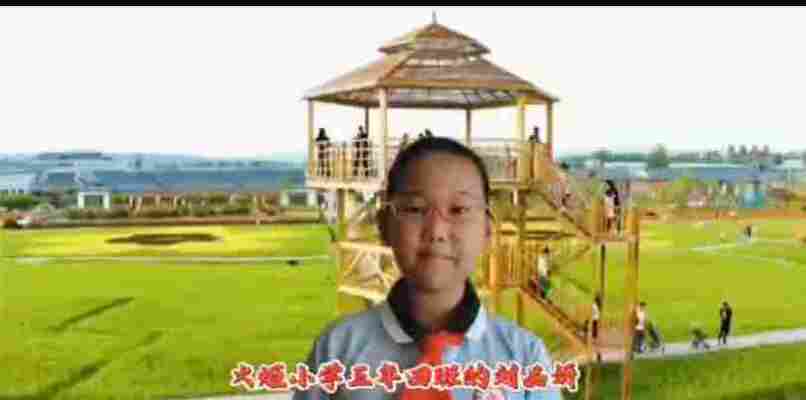 刘品妍
