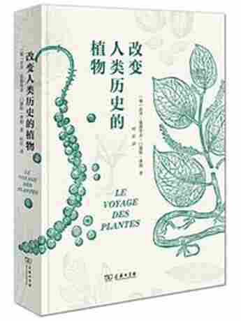 徐若然
