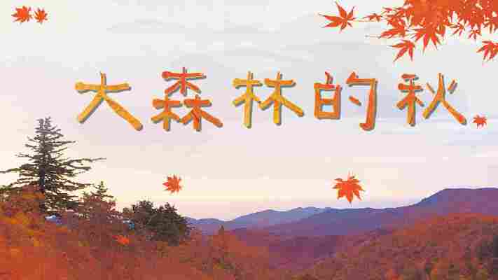 杨语睎