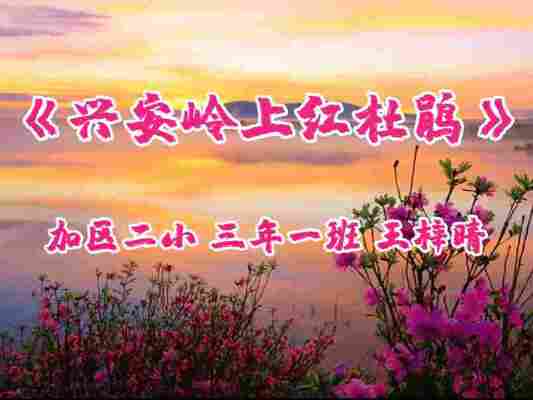 王梓晴