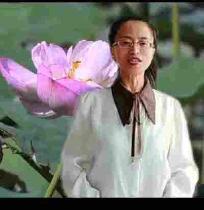 杨春梅