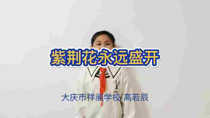 高若辰
