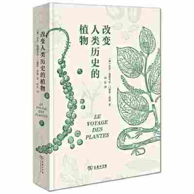 王紫