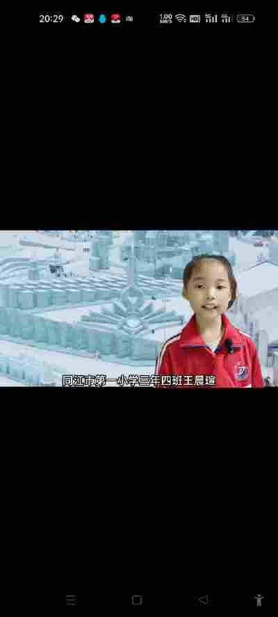 王晨瑄