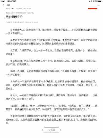 刘伊伊