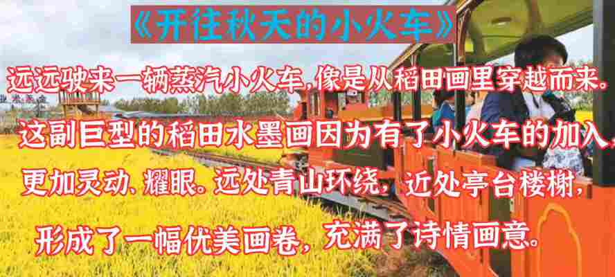 乔延竹