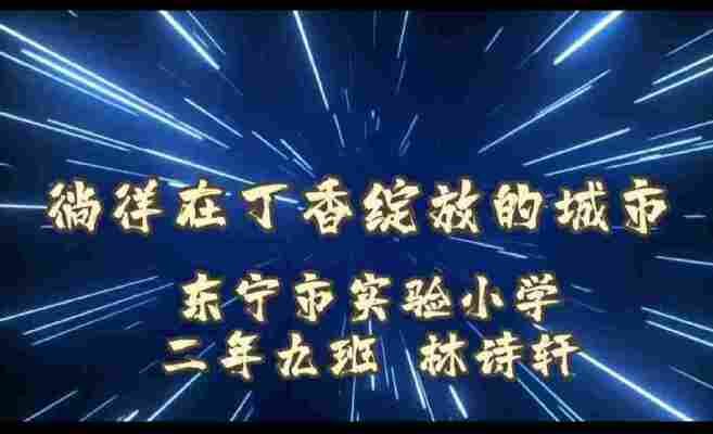 林诗轩