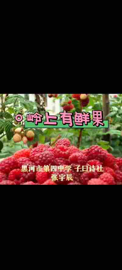 张宇辰
