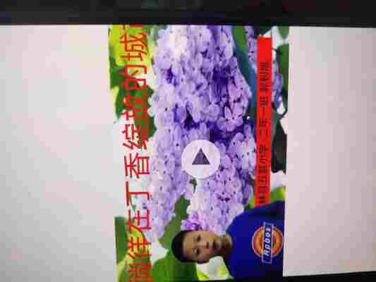 郭钊旭