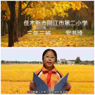 安书琦