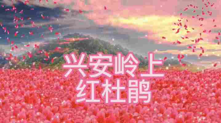 刘宇轩