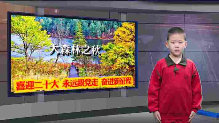 张秀赫
