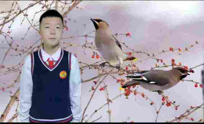 王子珺