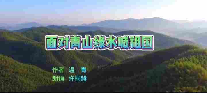 许桐赫