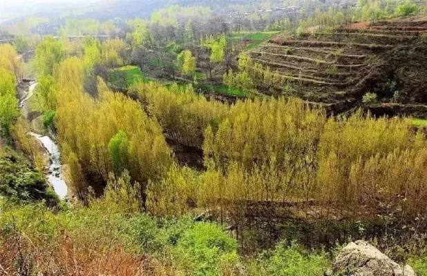 王韵雅